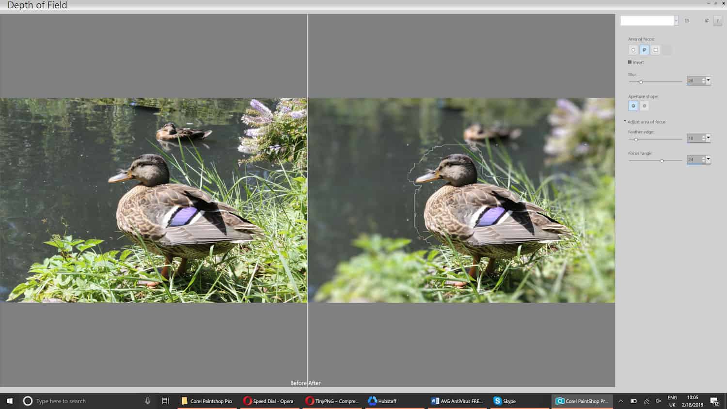 Adjusting depth of field in Corel PaintShop Pro