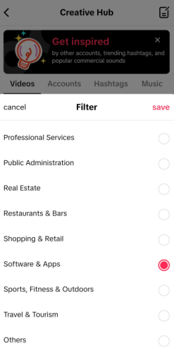 TikTok for Business Filters